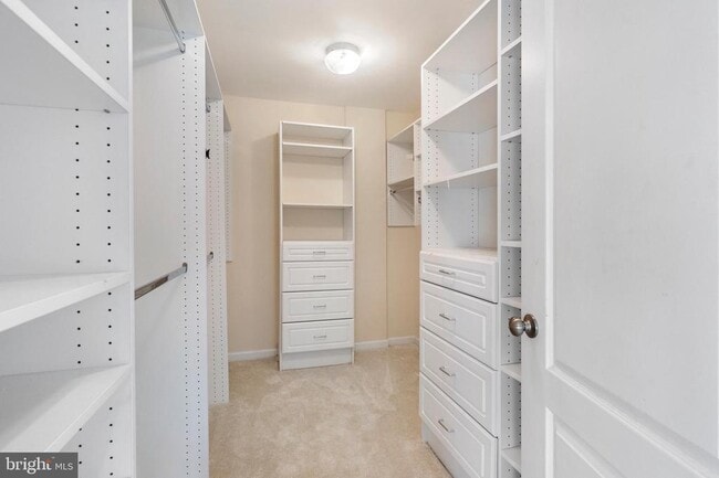 Building Photo - 8880 Olive Mae Cir