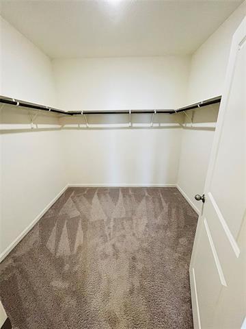 Building Photo - 743 Camden Dr