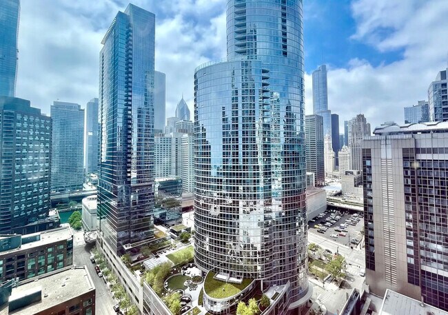 Building Photo - 512 N McClurg Ct