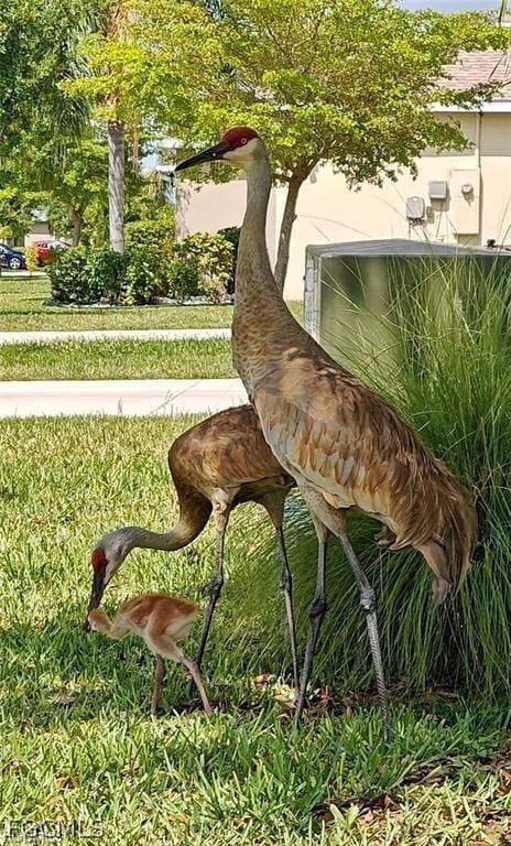 Building Photo - 8231 Gopher Tortoise Trail