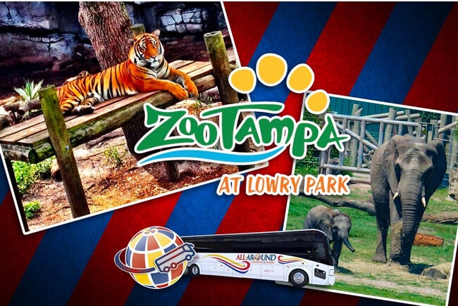 Building Photo - 1107 W Braddock St