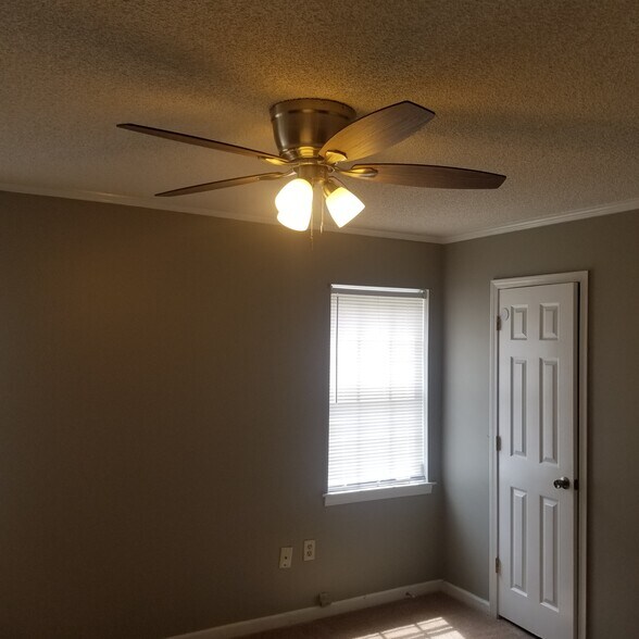 Building Photo - 109 Gray Dr