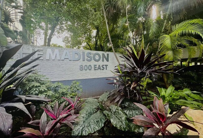 Building Photo - 800 N Miami Ave