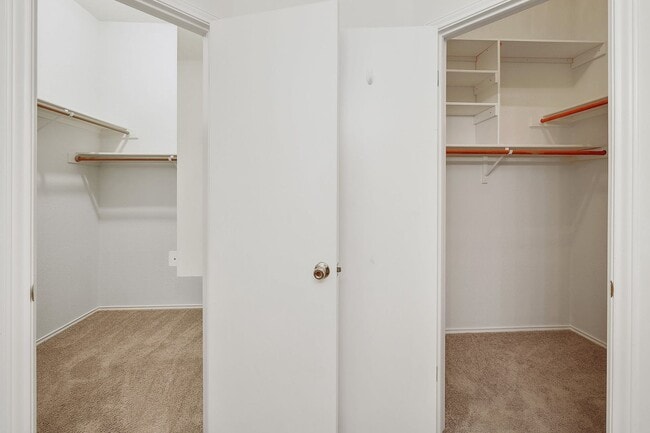 Building Photo - Beautiful in Brushy Creek!