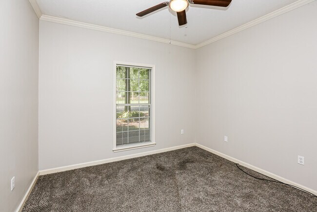 Building Photo - Beautiful Home with Great Backyard!