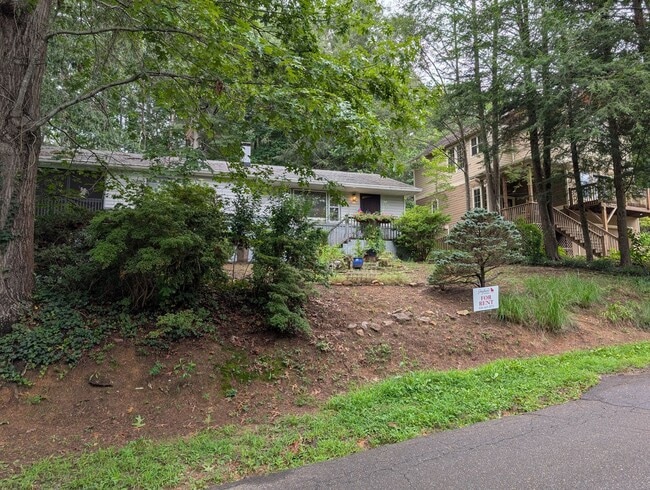 Building Photo - Black Mountain Rental!
