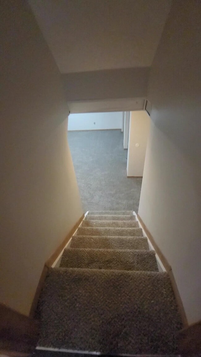 Building Photo - 5225 Wolf Run Dr