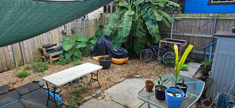 Building Photo - 1239 France St