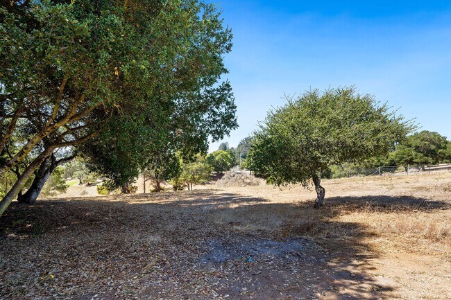 Building Photo - 517 Calabasas Rd