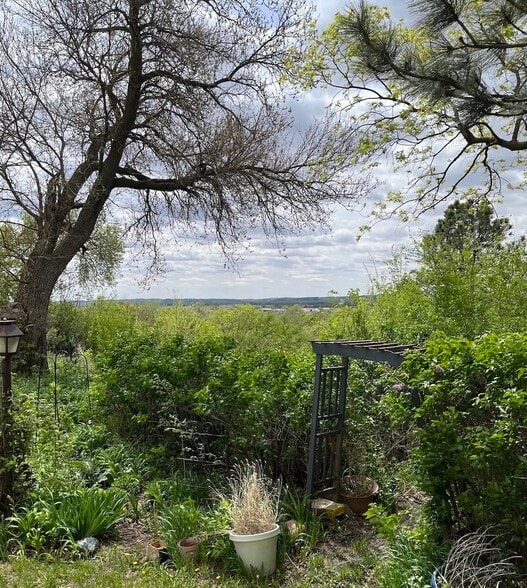 Back Yard View - 22 W Bloomingdale St