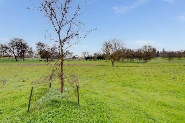 Building Photo - 12707 Leo Ln