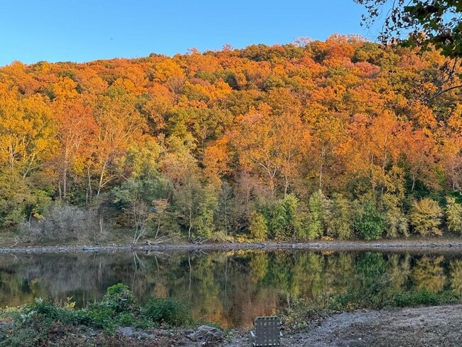 Building Photo - Riverfront home in a quiet spot, 3 acres, ...