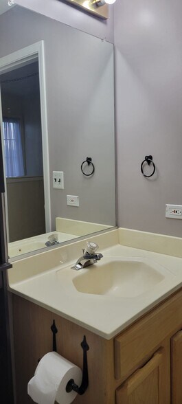 Common Bath Vanity - 771 Hoover Dr