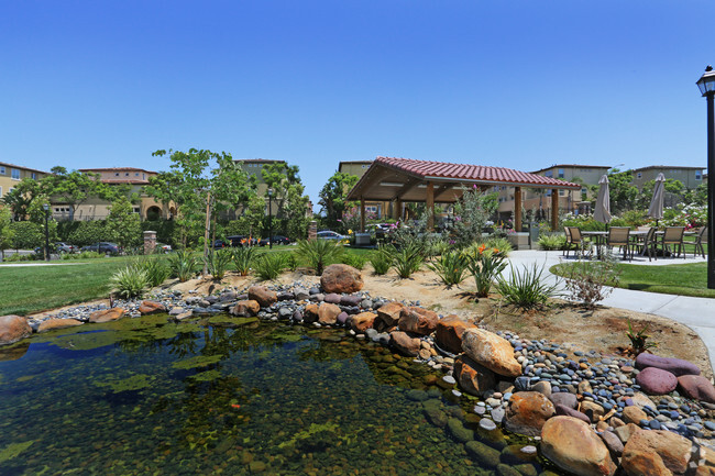 Pond - Paradise Village