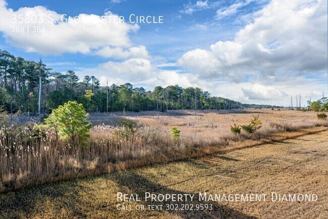 Building Photo - 35803 S Gloucester Cir