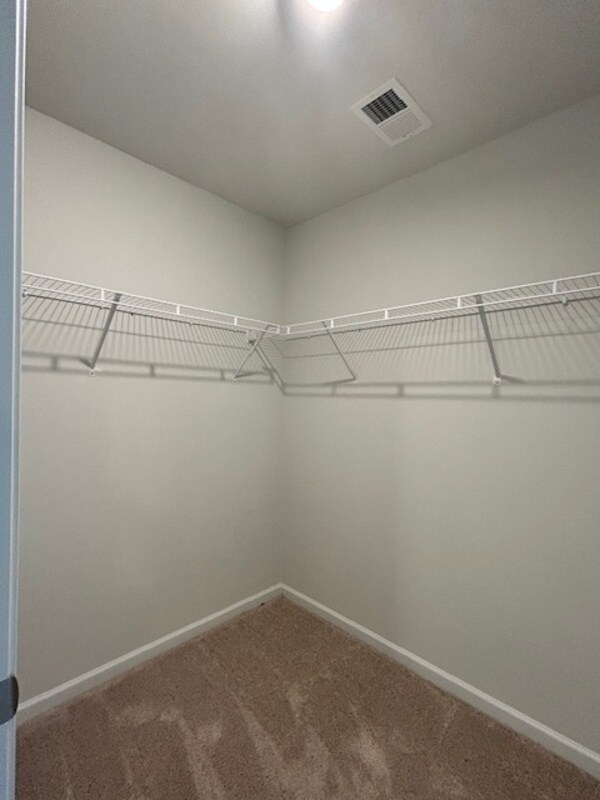 Building Photo - 2743 Prince Charles Ct