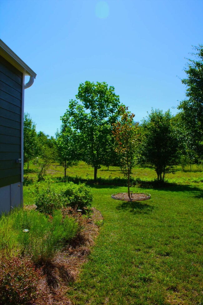 Building Photo - Charming Tiny Home in The Hamlet by Simple...