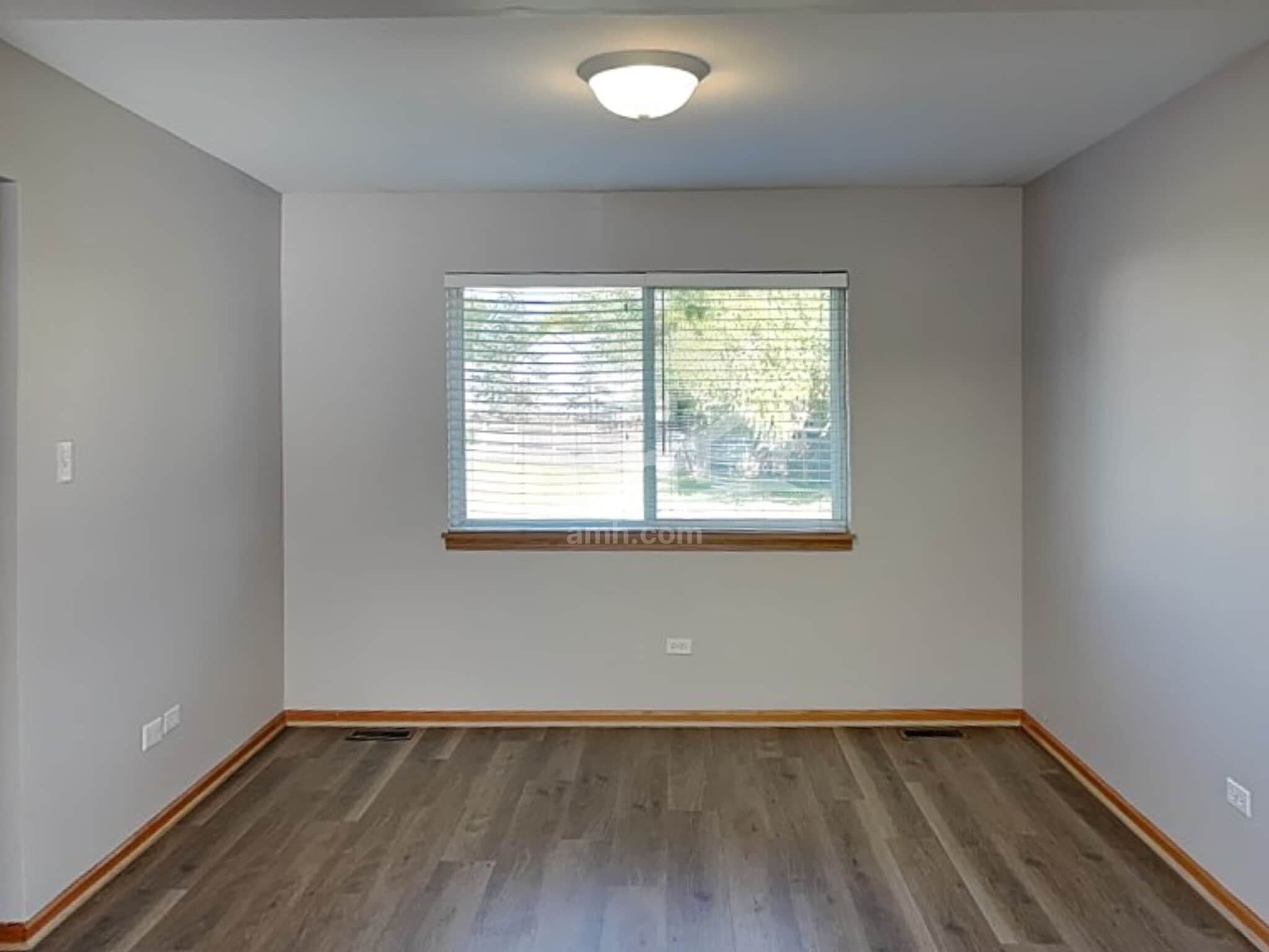 Building Photo - 2438 Foxtail Ct