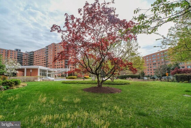Building Photo - 4201 Cathedral Ave NW