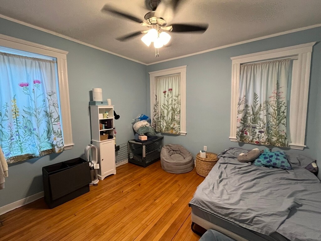 Building Photo - 15 Bellvista Rd