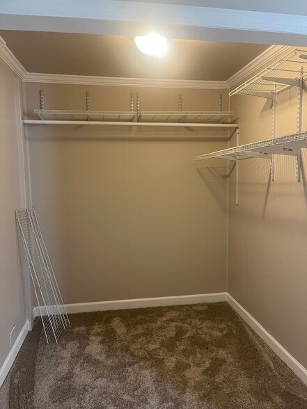 Spacious master closet - 1402 N Tennessee Blvd
