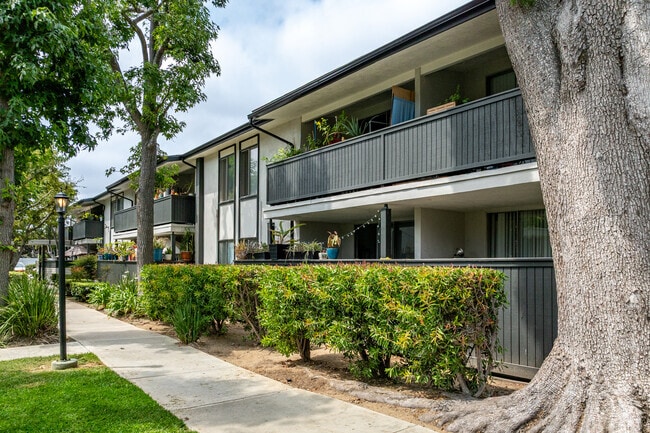 Building Photo - The Arbors Santa Ana