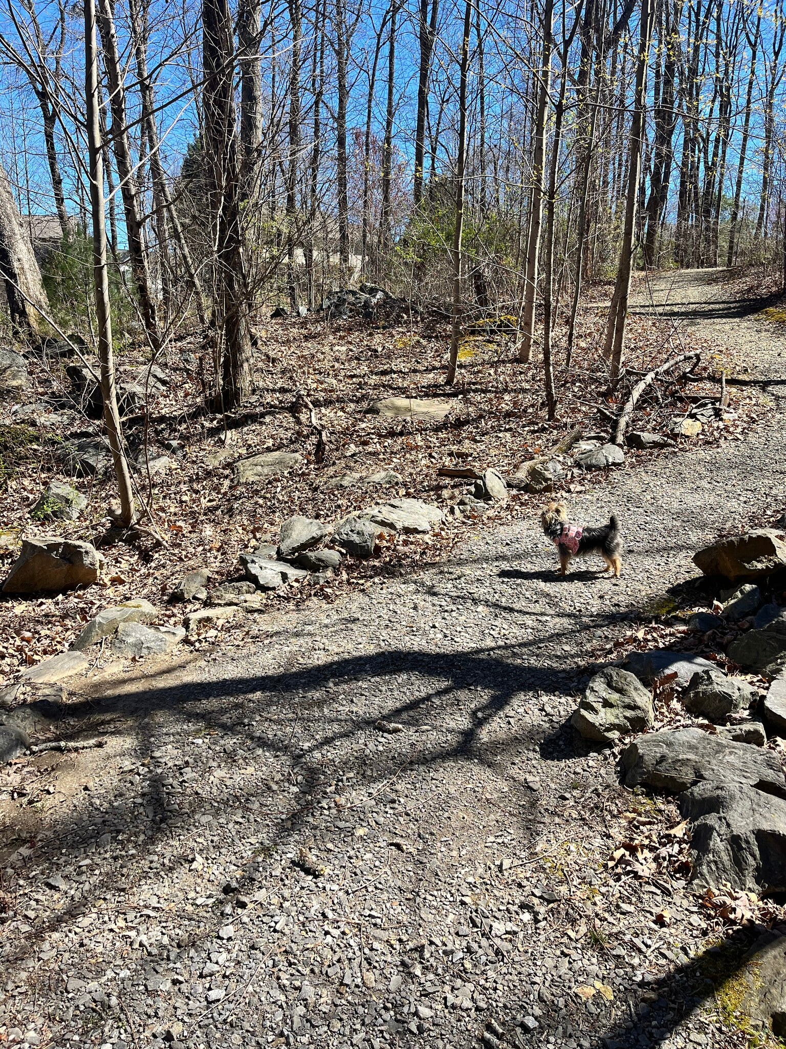 Trails - 12 Stone House Rd