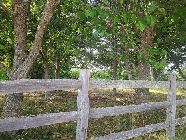 Building Photo - Beautifully Refurbished Farmhouse with Val...