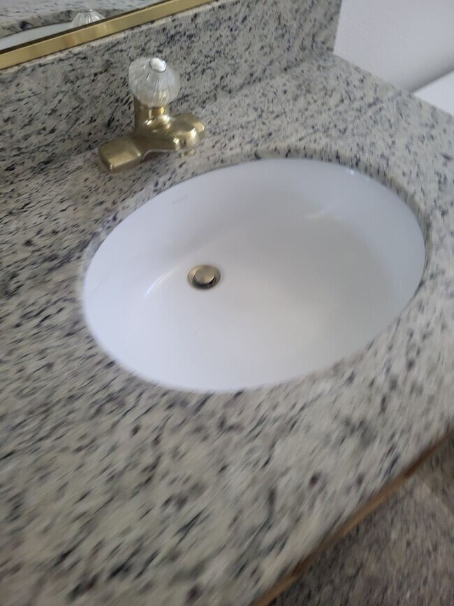 Building Photo - 5049 Pine Lake Ct