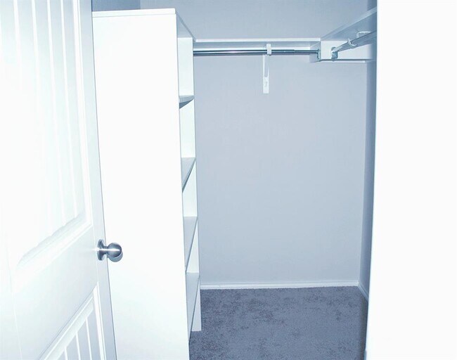 Building Photo - 211 Pitkin Dr