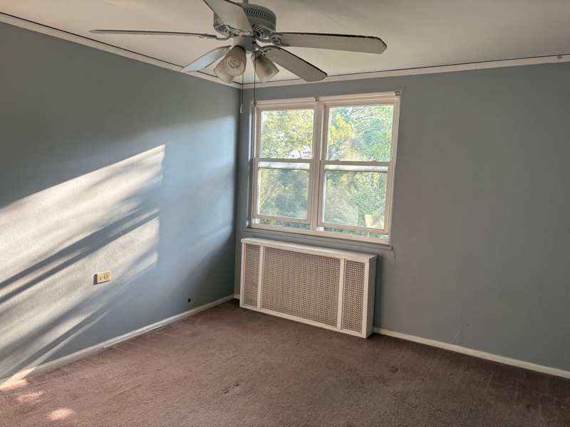 Building Photo - 13 Dewitt St