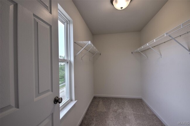 Building Photo - 9768 Wilderness Battle Cir