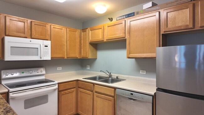 Building Photo - 345 N La Salle Dr