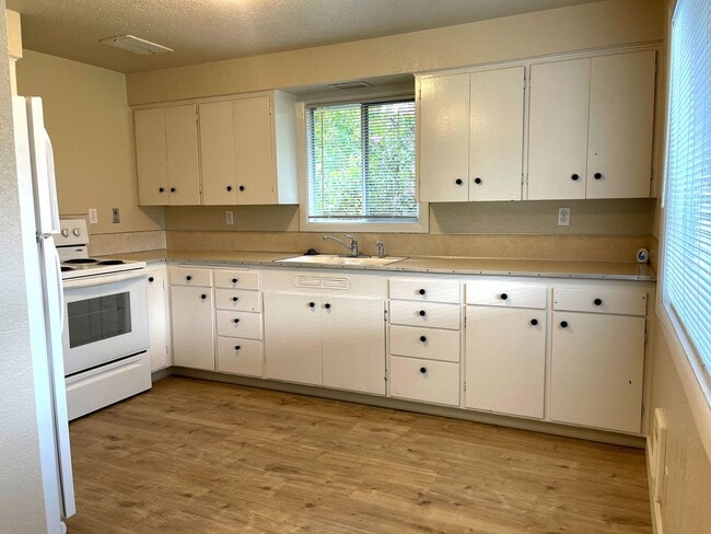 Building Photo - 2 Bdrm, 1 bath, 832sf home in Spanaway