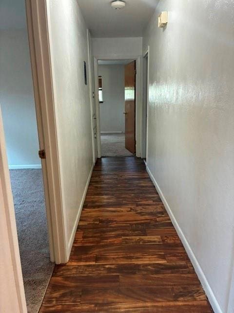 Building Photo - 1003 Hall Ave