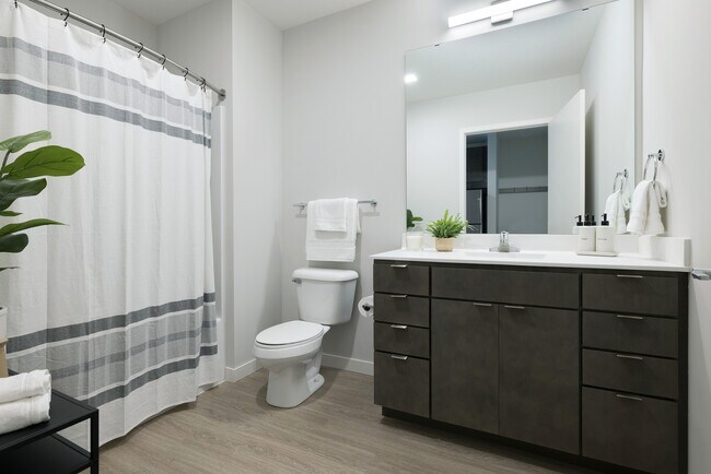Floorplan - The Avandale