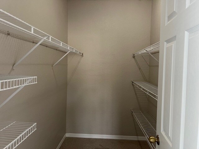 Building Photo - 852 Grand Regency Pointe