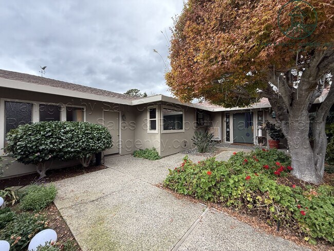 Building Photo - Beautifully Updated Three Bed (+ Bonus) Quail Lodge Home
