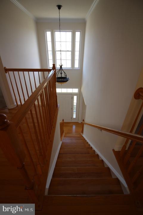 Building Photo - 14201 Reidhall Pl