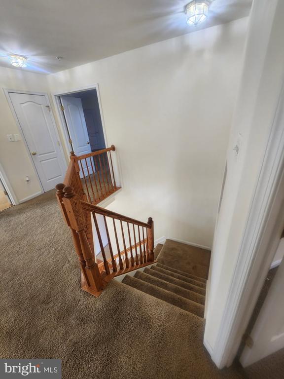 Building Photo - 10208 Rolling Green Way