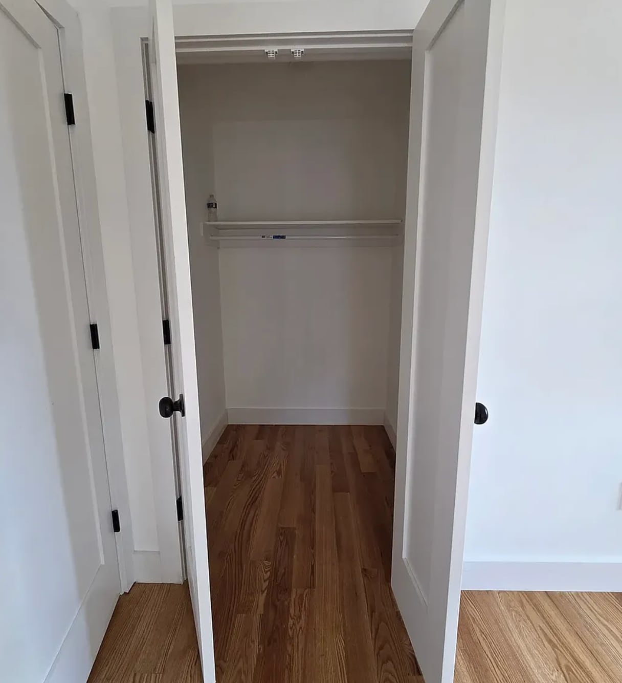 Building Photo - 119 Rochelle St