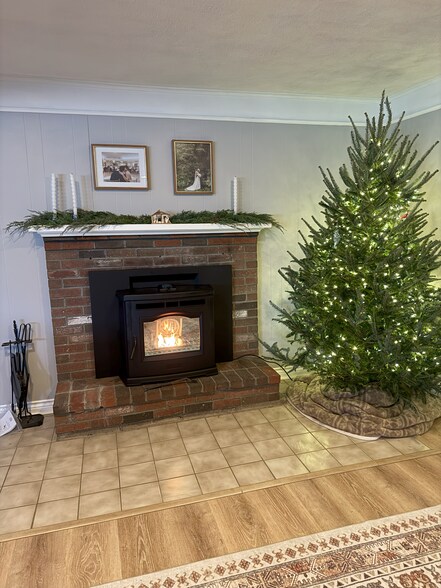 Harman Stove - 5 Oak Ter