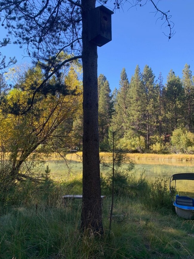 Building Photo - Furnished Riverfront Cabin on the Spring River – 4 Bedrooms, 3 Bathrooms 2,300 sq. ft. | Fully Fu...