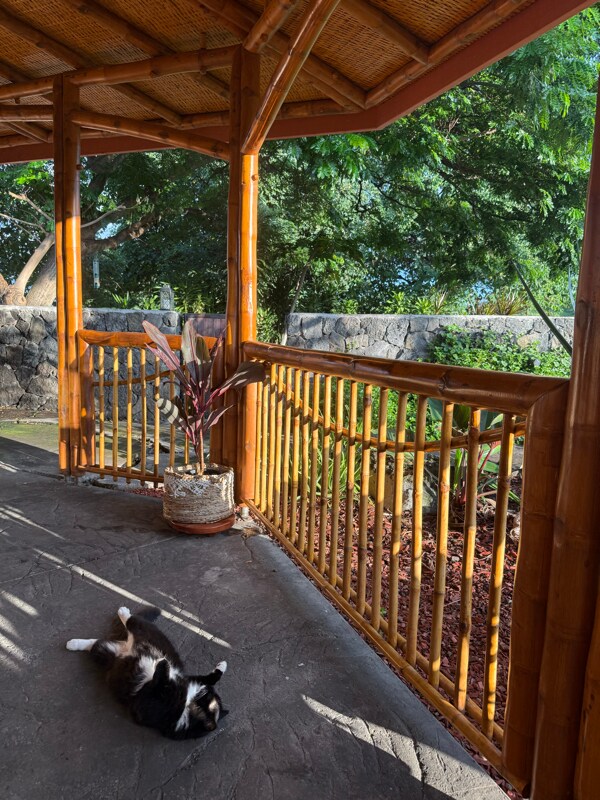 Building Photo - 75-5944-5944 Kakalina St