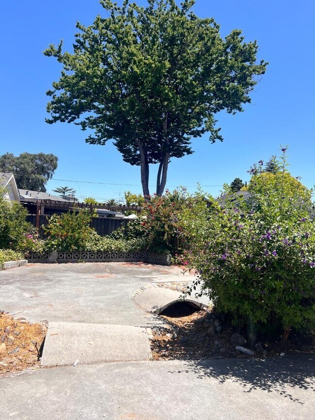 Building Photo - 14892 Donner Dr