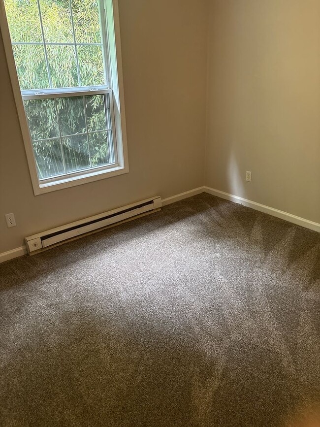 Building Photo - Newly Remodeled 3 Bedroom in East Asheville