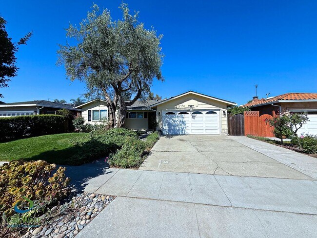 Building Photo - $4895 - Beautiful 4 Bed/2 Ba Cambrian Park Home Available Now!