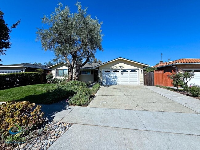Building Photo - $5295 - Beautiful 4 Bed/2 Ba Cambrian Park Home Available Now!