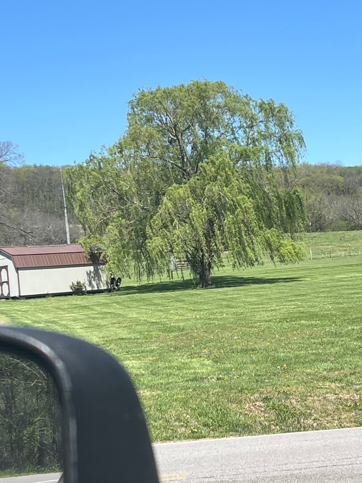 Building Photo - 160 Emalyn Ct