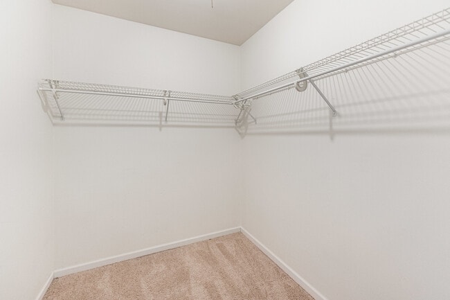 Building Photo - 1707 Cedarbrook Ct